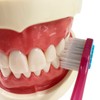 Ebisu Premium Care Teeth Whitening, 6 Row Regular, Normal, Set