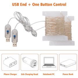 Beingreat 2 Pack USB Plug-in Fairy Lights, 33ft 100 Mini LED Copper String Lights with 8 Modes, USB Starry Lights for Bedroom Wedding Christmas Garden Party DIY Crafting, Warm White