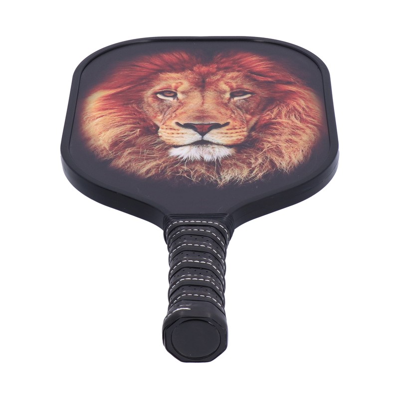 LEIJIAER Pickleball Paddle Set Carbon Fiber Face Racket with 2Pcs