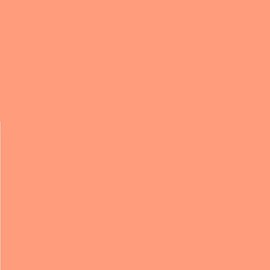 Pack of 4 - LEE No. 147 Apricot - 24 x 24 cm Transparent Heat Resistant Coloured Film for Photo Studio PAR 64 Headlight - Gel Colour Filter Film (Pack of 4, Lee 147 Apricot)