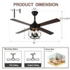 Curve Curio 52 Inch Farmhouse Ceiling Fan with Light and