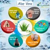 Aloe Vera Powder