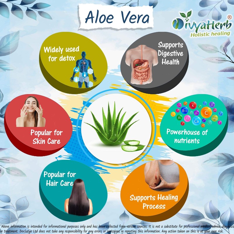 Aloe Vera Powder