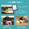 SPICE OF LIFE YBLS2210BL Nap Book Nap Pillow, Blue, Slow