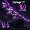 Creatina Panther Protein En Polvo 500g Varios Sabores