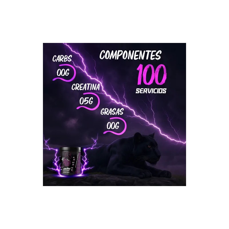 Creatina Panther Protein En Polvo 500g Varios Sabores
