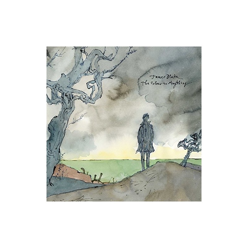 ザ・カラー・イン・エニシング