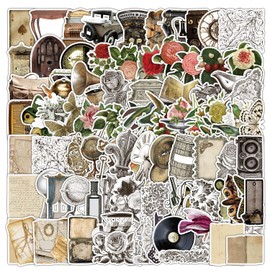 AUCEKO Pack of 100 Retro Stickers Pack Vintage Objects Sticker Set Waterproof Vinyl Stickers for Laptop Children Cars Motorcycle Bicycle Skateboard Luggage Suitcase Computer Sticker Graffiti Decal