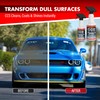 LiQuiTube CCS Multi Surface Cleaner - Bug Remover for Motorcycles,