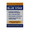 Blue Star Ointment 2 oz by Blue Star