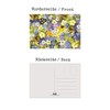 the lazy panda card company Selection of natural postcards: 32