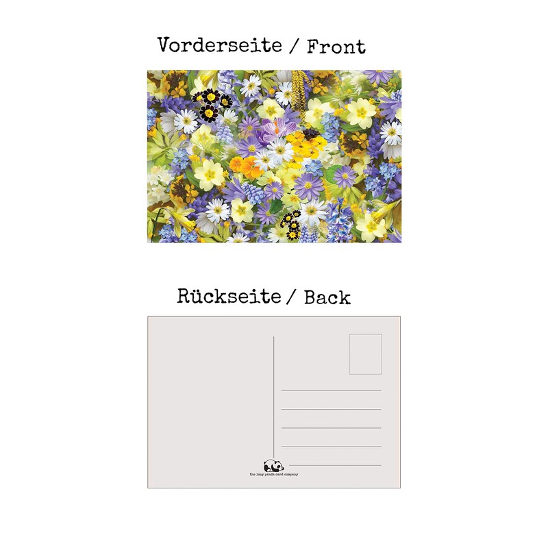 the lazy panda card company Selection of natural postcards: 32