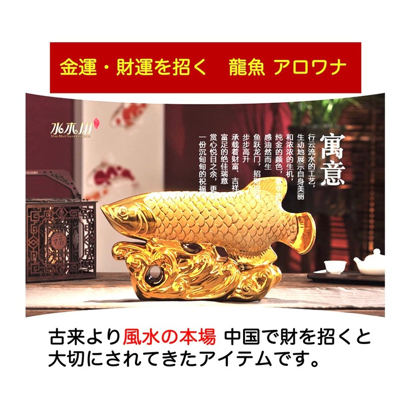 M Pro Money Luck Feng Shui Object Dragon Fish Arowana