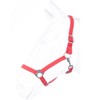 HKM by Reiterladen24 Basicline Headcollar Red Shetty