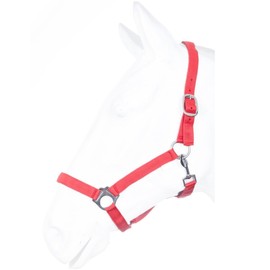 HKM by Reiterladen24 Basicline Headcollar Red Shetty