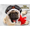 Pug Valentines Day Card