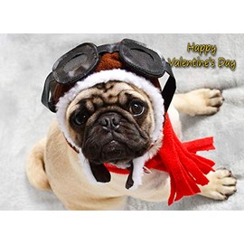 Pug Valentines Day Card