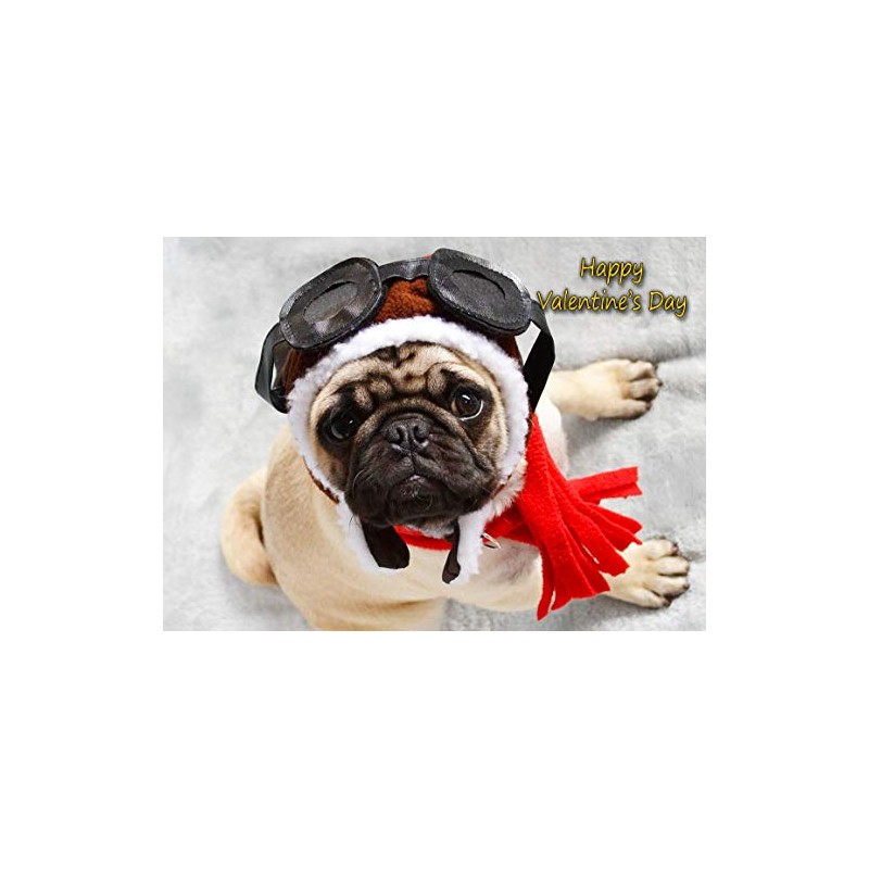 Pug Valentines Day Card