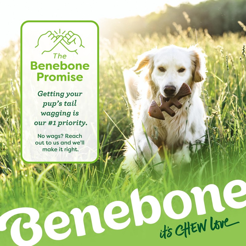 Benebone Medium 4-Pack Dog Toys for Aggressive Chewers – Durable