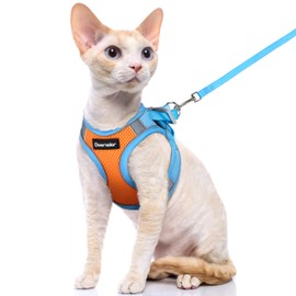 Dooradar Cat Harness and Leash Set, Escape Proof Lightweight Kitten Harness, Soft Breathable Reflective Vest for Outdoor Walking Traveling, Adjustable for Small Cats, Orange & Blue, S