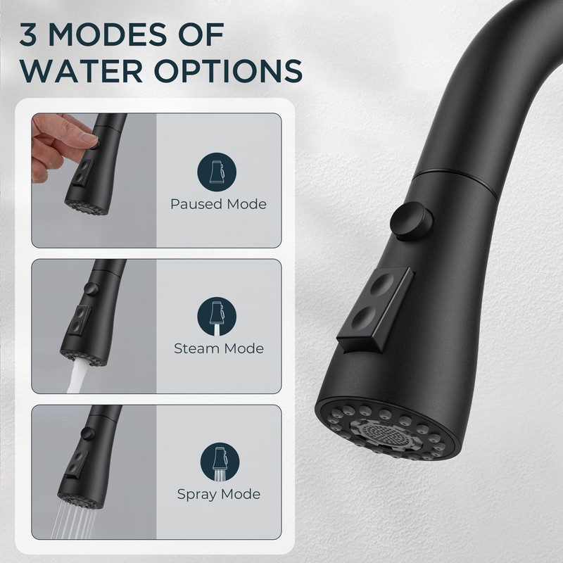 QFN Black Kitchen Faucet with Pull Down Sprayer, High Arc