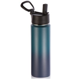Volhoply 650 ml Stainless Steel Drinking Bottle with Straw, Double-Walled Vacuum Insulated Thermos Flask Children, Metal Leak-Proof Bottle, BPA-Free Thermos Flask for Sports, School, Outdoor (Dark