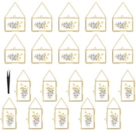 20 Pcs Double Glass Frame for Pressed Flowers,Floating Hanging Photo Christmas Ornaments Frame Brass Frames with Chain for Wall Display Gallery Artwork,Clear Vertical Horizontal Display for Botanical Art,Picture,Stamps,Gallery Decor,Gold