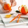 ZEACCT 10 Pieces Orange Peeler Set, Round Orange Peeler, Plastic
