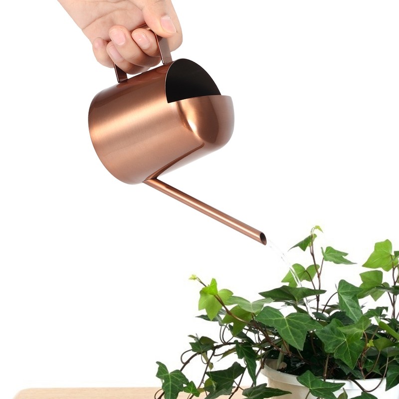 300ml Small Stainless Steel Watering Can Plant Flower Long Spout