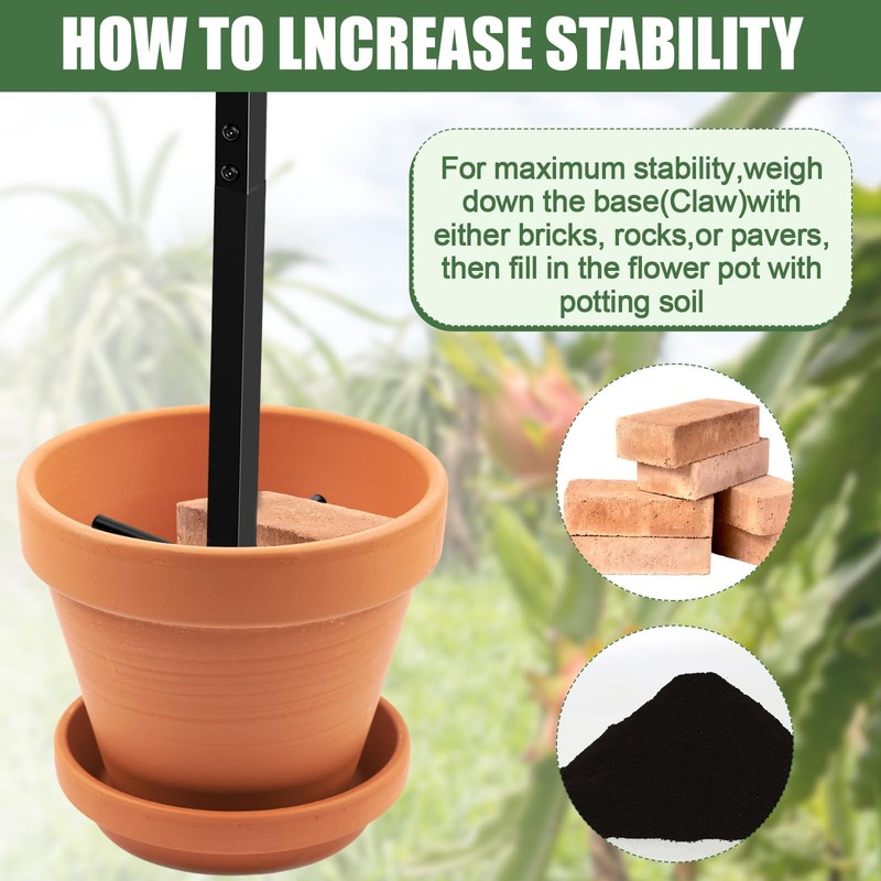 MorningRo 2 Pack Dragon Fruit Trellis Adjustable Metal Garden Plant