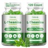 Oakevlp Liposomal L-Theanine 1200mg Gummies,Complex Magnesium GABA,5-HTP,Ashwagandha etc for Calm,