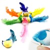 xlwen Artificial Birds with Feathers and Clip, Pack of 12