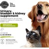 UroMAXX, Cat & Dog Urinary Tract Treatment, Bladder & Kidney