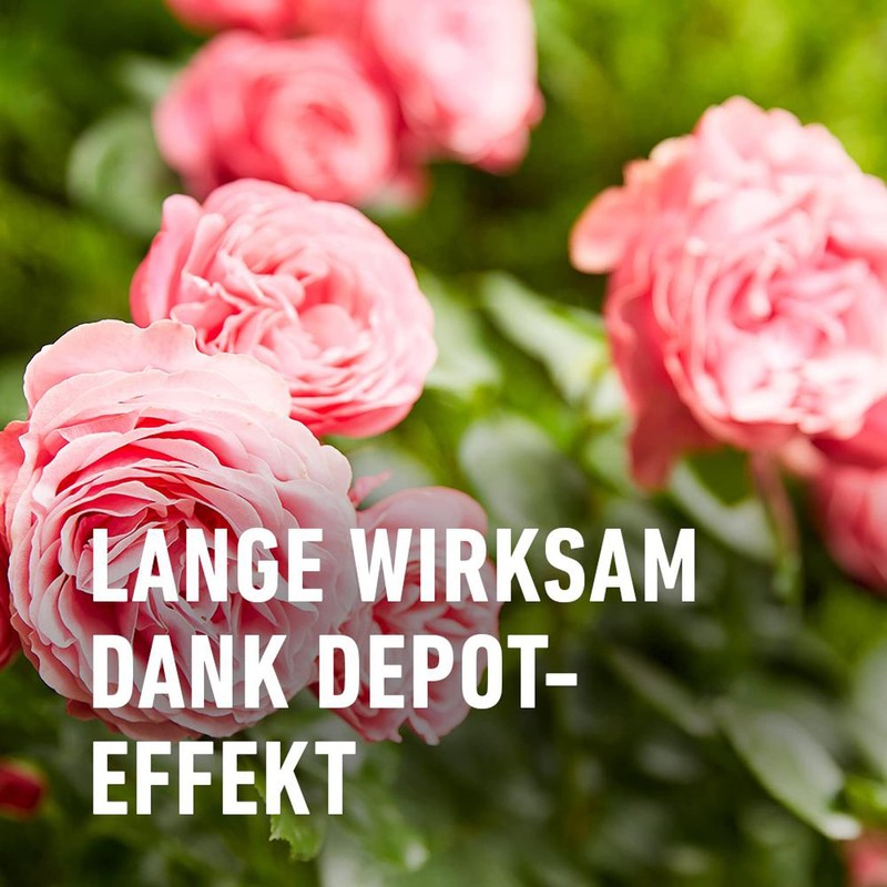 COMPO Duaxo Rose Mushroom