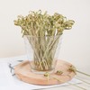 300 pcs Cocktail Picks,Bamboo Appetizer Forks,Small Fruit Food Picks,Wooden Forks,Disposable