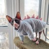 Dinosaur Sphynx Cat Clothes, Soft Polar Fleece Sweater for Cat,