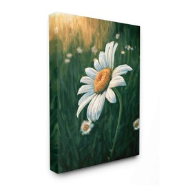 Stupell Industries Daisy Details in Field of Spring Flowers Wall Art, 36 x 48, Green
