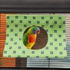 Hanging Triangle Bird Nest for Parrots | Summer Bird Sleeping