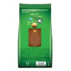 Bru Instant Coffee - Powder, 200g