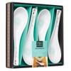 World Of Flavours Oriental Spoons