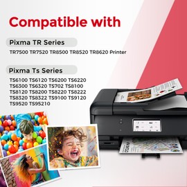 10 Pack 280XXL 281XXL 280 281 XXL Ink Cartridge to TR8620a TR8600 TR8620 TR8520 Ink Replacement for Canon PGI-280 CLI-281 XL to TR7520 TS702a TS9520 TS9521C TS6120 TS6220 TS9120 TS6320 TS8220 Printer