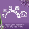 Glade PlugIns Refills Air Freshener, Scented and Essential Oils for