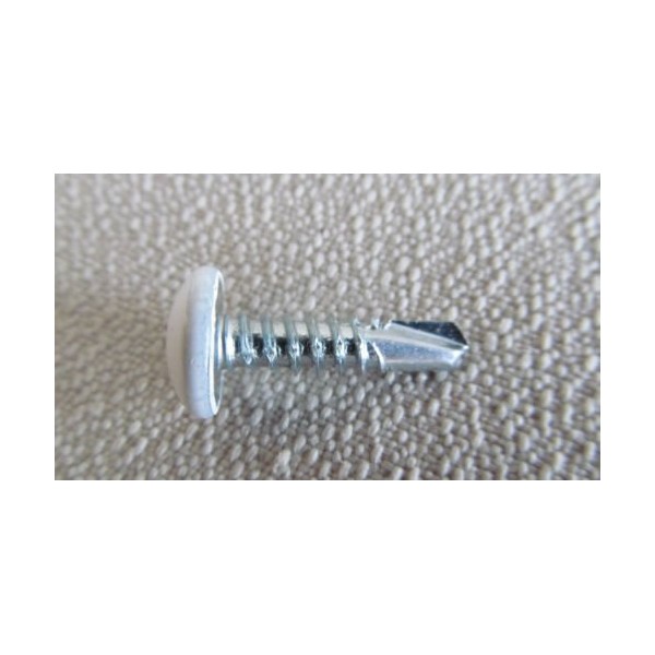 ABS 3/4" White Cargo Exterior Self Tapping Screws for RV,