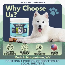 Ascend Digestive Boost Soft Chew Supplements for Dogs – Pumpkin, Hempseed, Probiotics & Inulin – Supports Gut Health, Digestion & Immune System – Veterinarian-Formulated, 90 Chews, USA