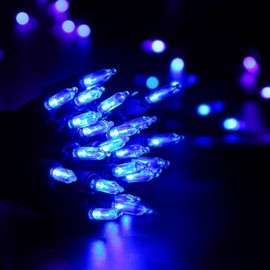 Brizled LED Christmas Lights, 100 LED 33ft Mini String Lights, 120V UL Certified for Indoor and Outdoor Decorations, Patio and Christmas Tree, Blue