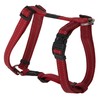 Reflective Adjustable Dog H Harness for Extra Large Dogs; matching