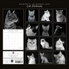 Gifted Stationery Co, Cat Portraits 2026 Wall Calendar, 12'' X