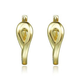 SHINYTE CATALINE 14K Gold Plated Hoop Earrings for Women,Women's Huggie Hoop Earrings,Hypoallergenic Earrings for Women, Brass, No Gemstone