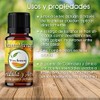 VIDA SCENTS | Aceite Esencial De 10ml 100% Puro Y