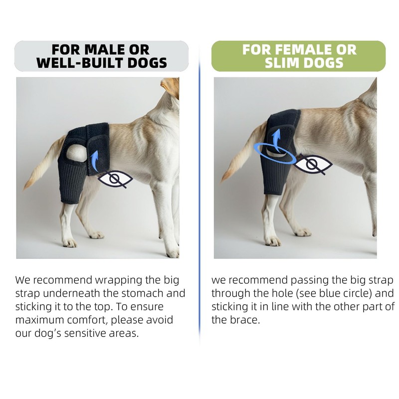 Lushnessu Adjustable Dog Leg Brace - ACL, Torn Ligament &